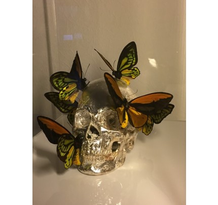Philippe PASQUA, papillons colorés