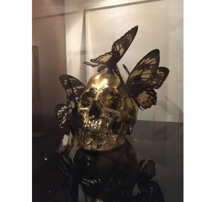 Philippe PASQUA, papillons noirs
