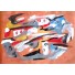 Wolfgang PAALEN, peinture, Peinture
