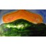 Jean MESSAGIER, peinture, Peinture